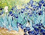 Copie de Van Gogh : Les iris