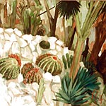 Le jardin de cact�es