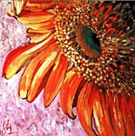Tournesol orange
