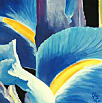 Iris